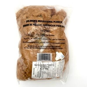 Avon Children Inspirational Plush Bear Jesus Loves Me NEW Sealed Teddy 2007